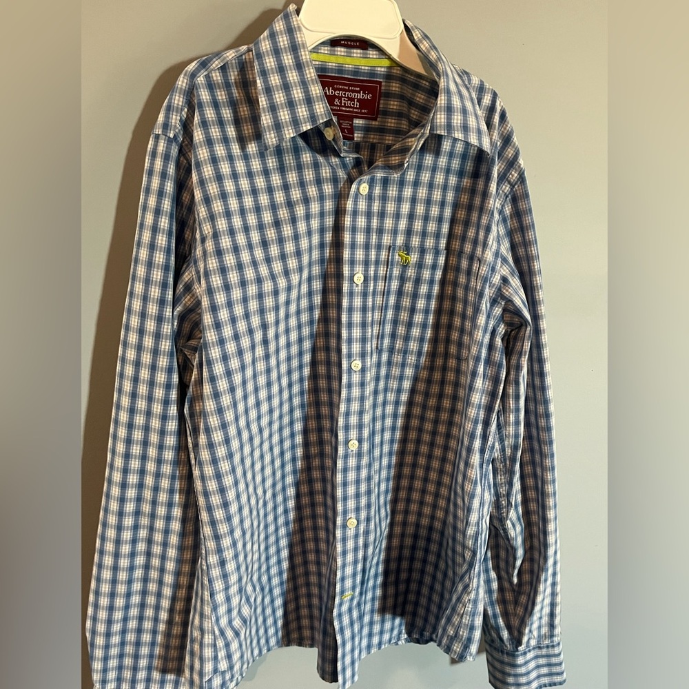 Abercrombie & Fitch Blue Casual Button Down Shirt